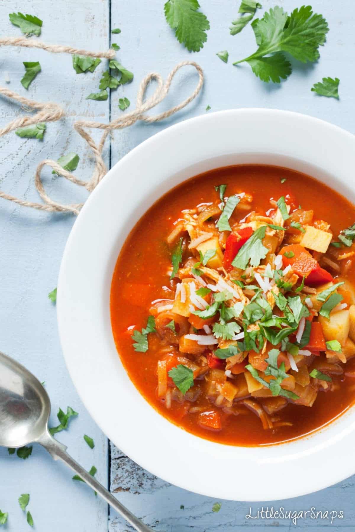 overhead view of  Mulligatawny soup in a white rimmed bowl