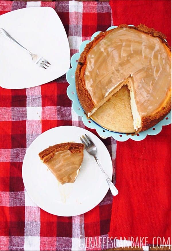 Apricot cheesecake with amaretto caramel