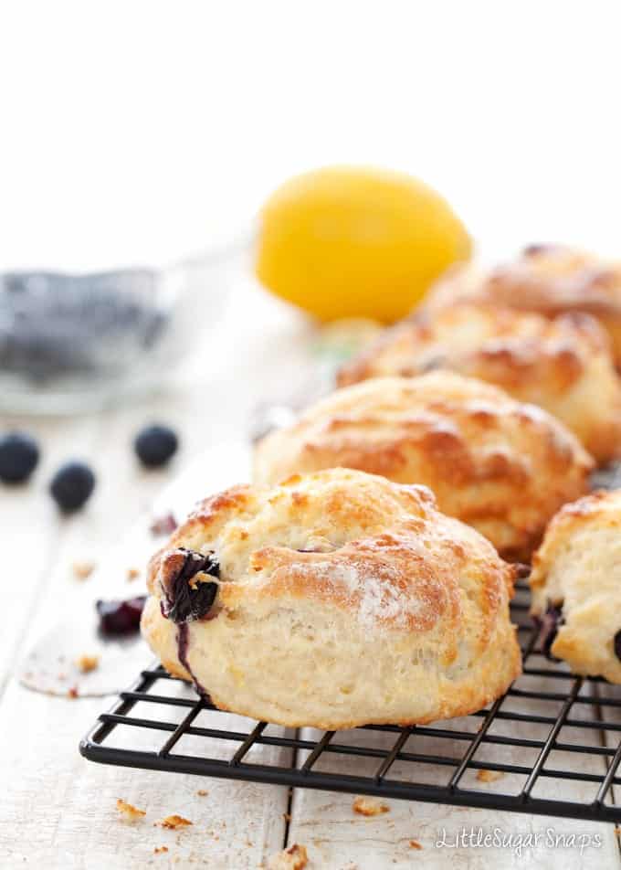 Freshly baked Blueberry Scones on a cooling rack