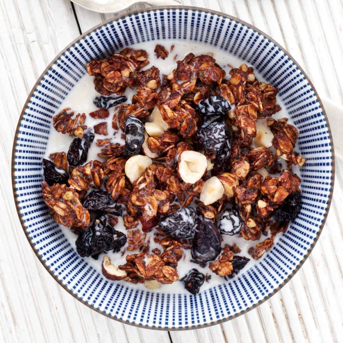 Healthy Chocolate Granola Little Sugar Snaps