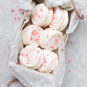 Chocolate Peppermint Meringue Sandwich