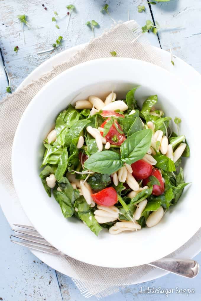 Close up of a bowl of Pasta Salad with spinach and basil