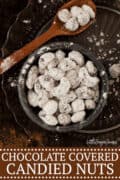 CHOCOLATE COVERED CHAI SPICED CANDIED NUTS - image for pinterest