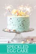 speckled egg cake - pinterest image