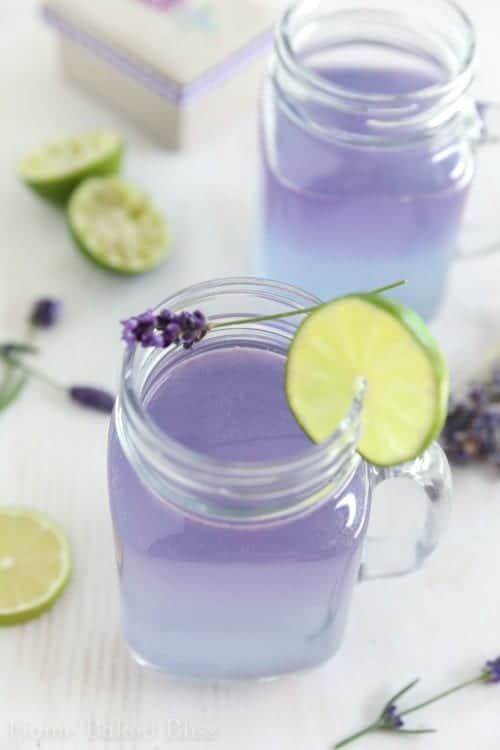 Glasses of lavender limeade.