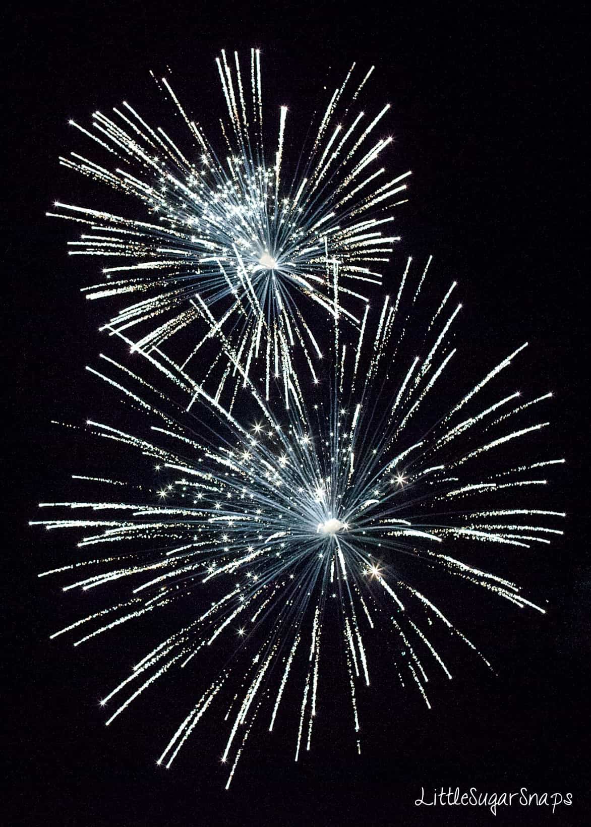 Fireworks against a black sky.