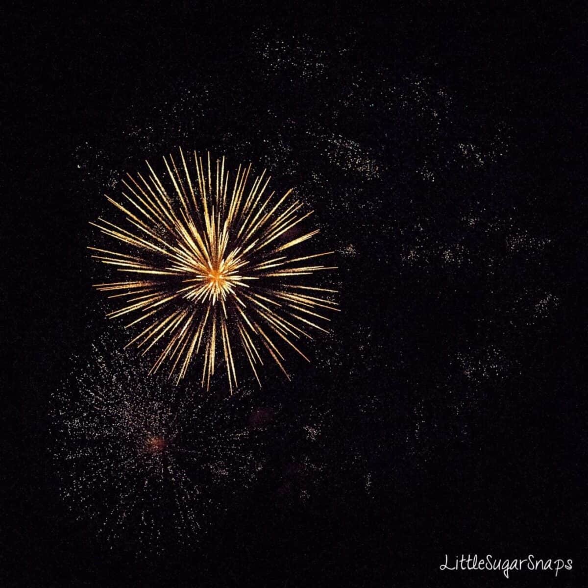 Fireworks against a black sky.