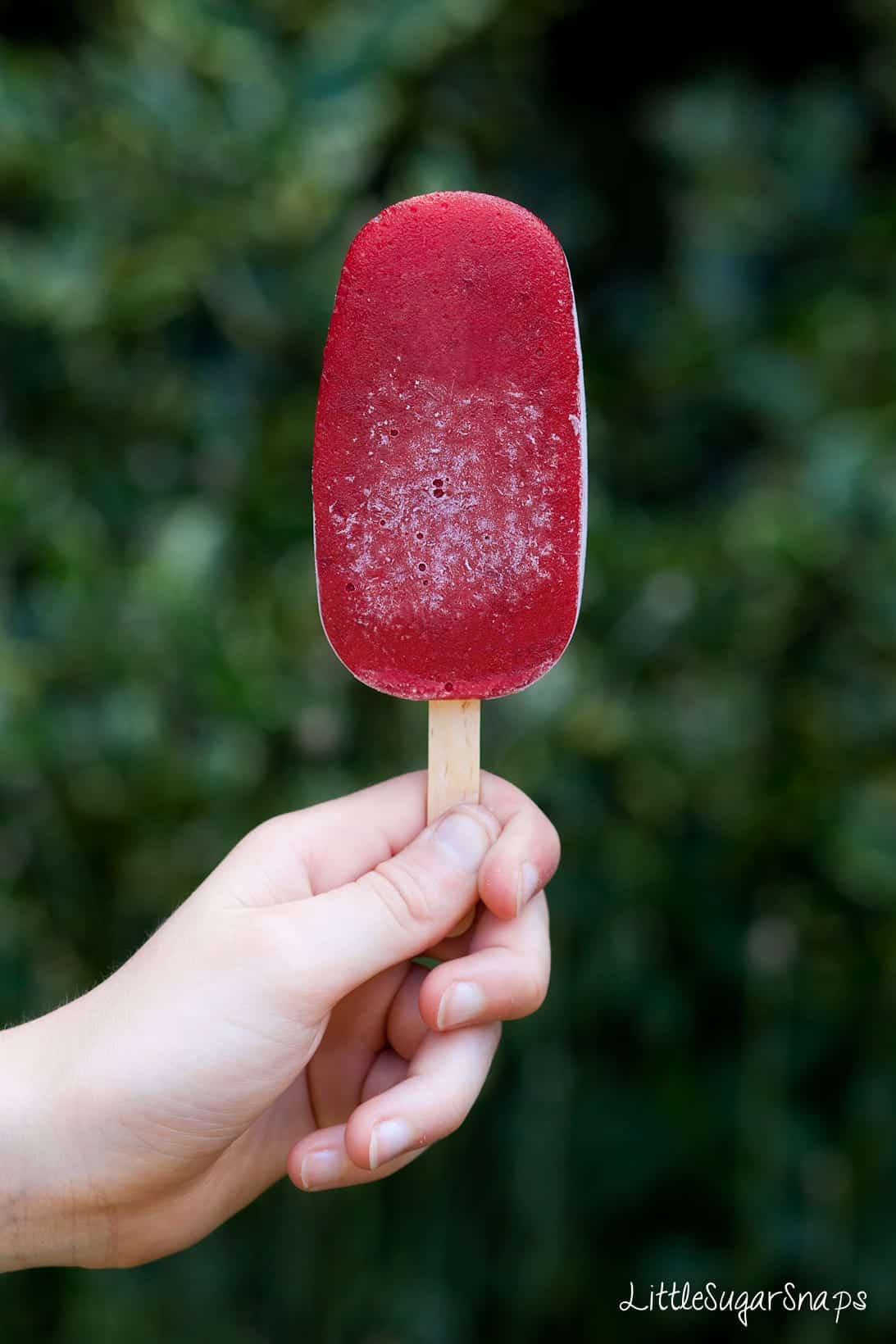 No Added Sugar Mango Cherry Popsicles Littlesugarsnaps