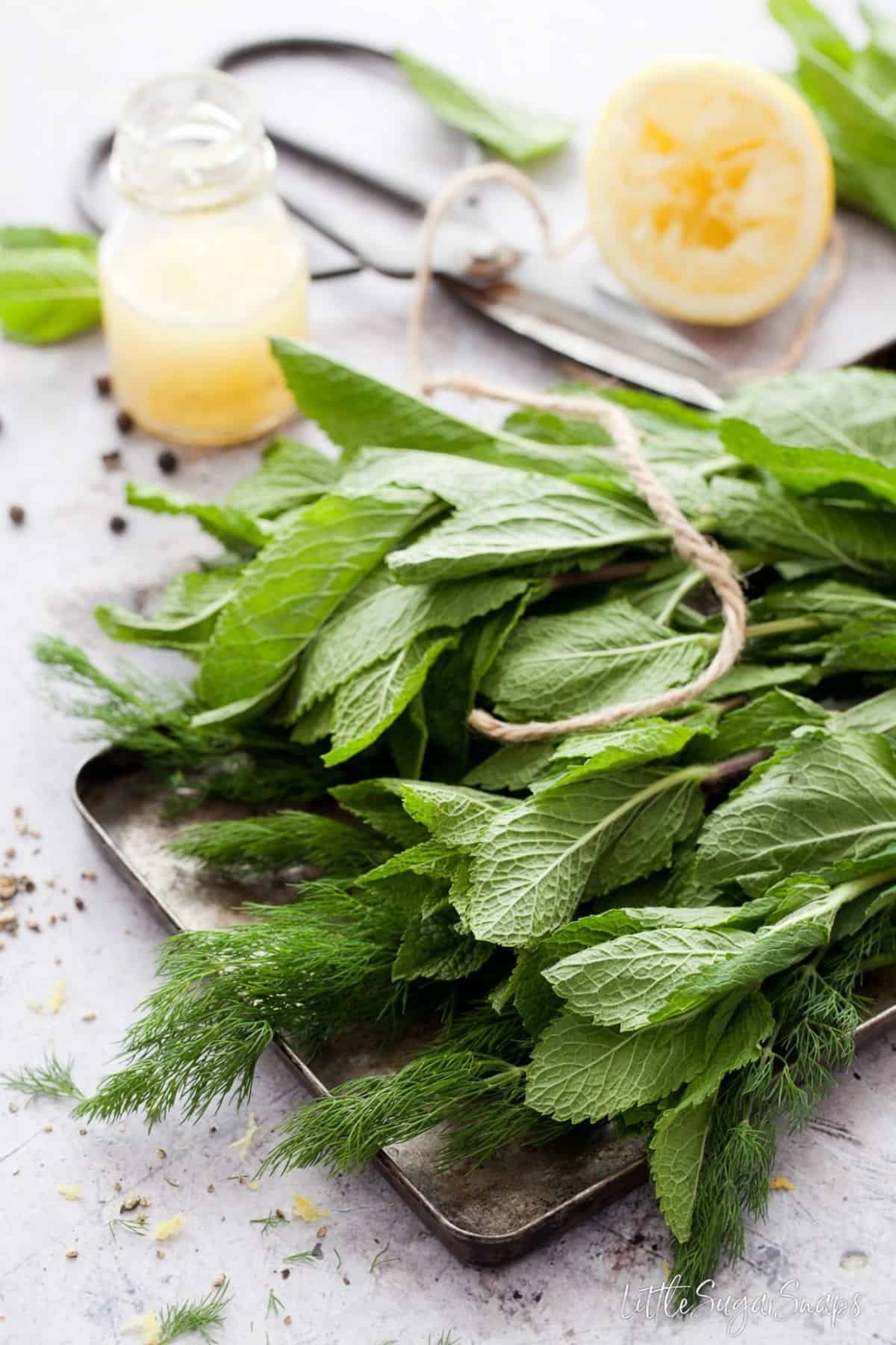 A bundle of fresh mint wrapped with string.