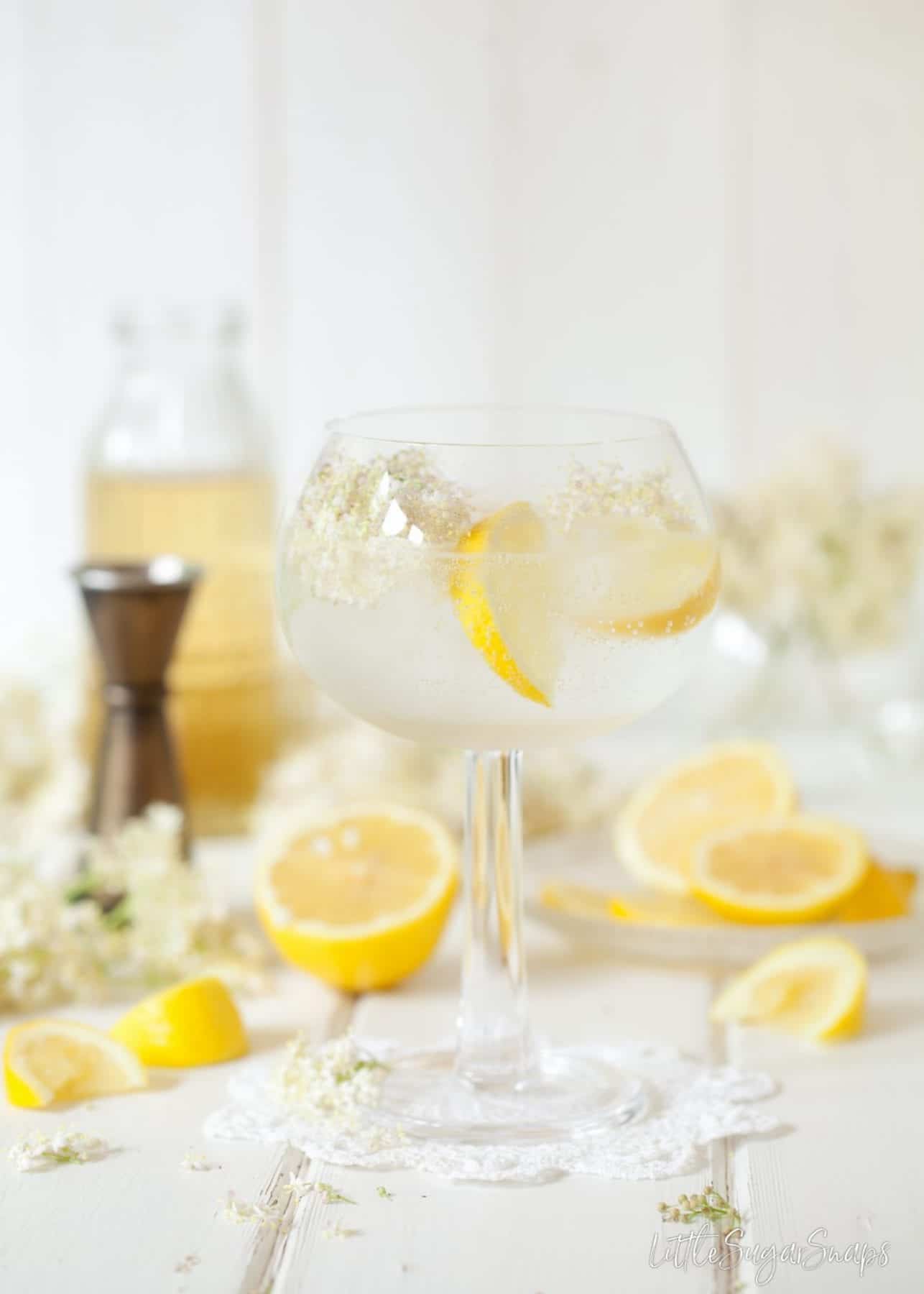 Summer Gin and Tonic with Elderflower & Lemon Summer Gin and Tonic with Elderflower & Lemon