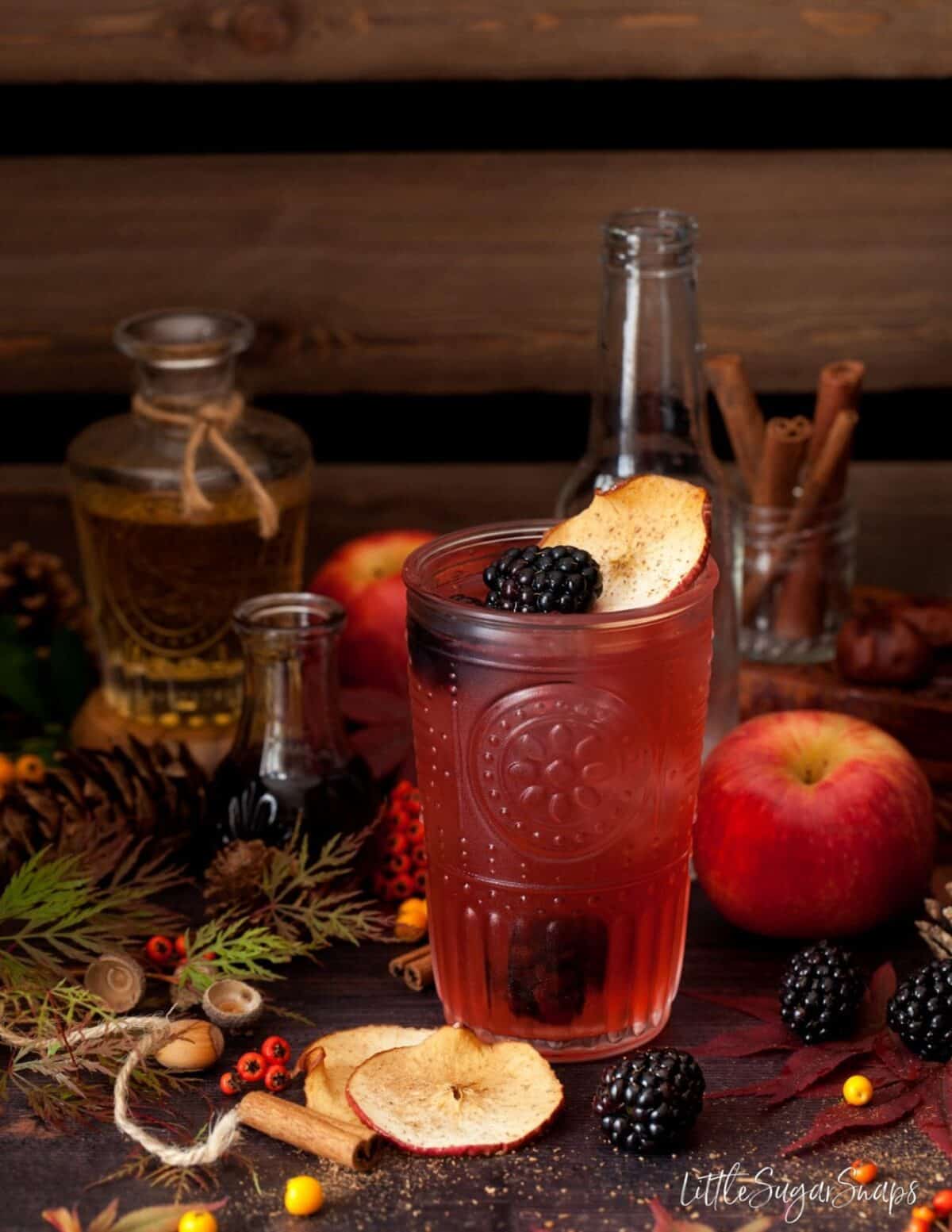 Autumn Blackberry and gin drink decorated with fresh berries and dried apple slices.