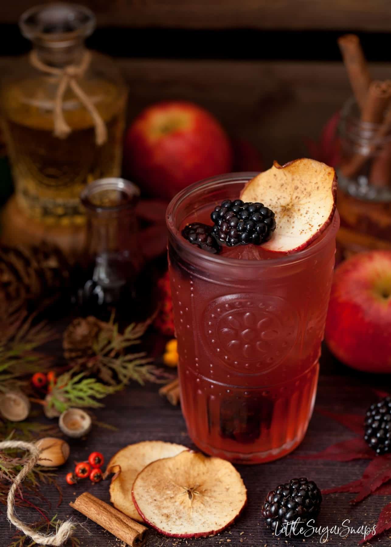 A glass of Blackberry and Apple Gin and tonic garnished with blackberries, apple and cinnamon.