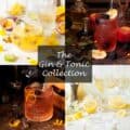 Gin & Tonic images with text overlay