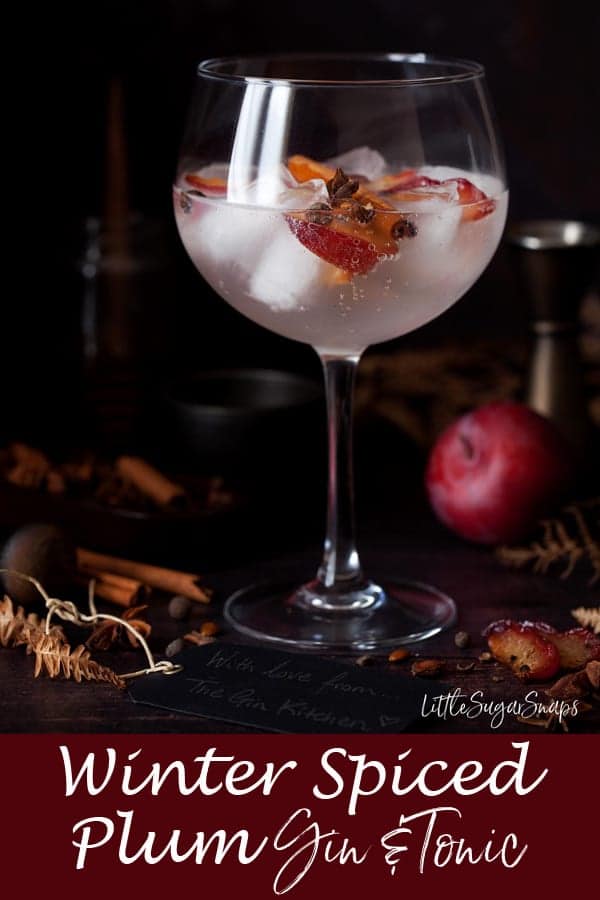 Winter Spiced Plum Gin Tonic #g&t #gintonic #ginanadtonic #gin&tonic #plumgin #plum gintonic #spicedgintonic