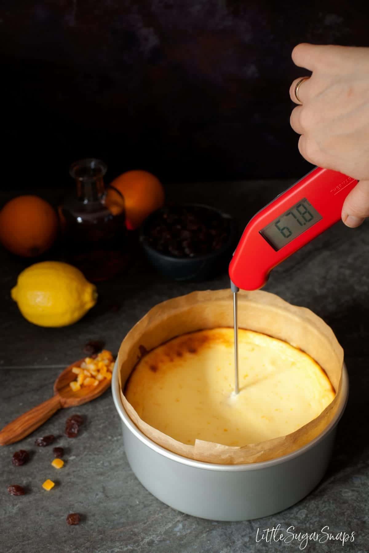 Person testing if a bake is cooked sufficiently using t food thermometer