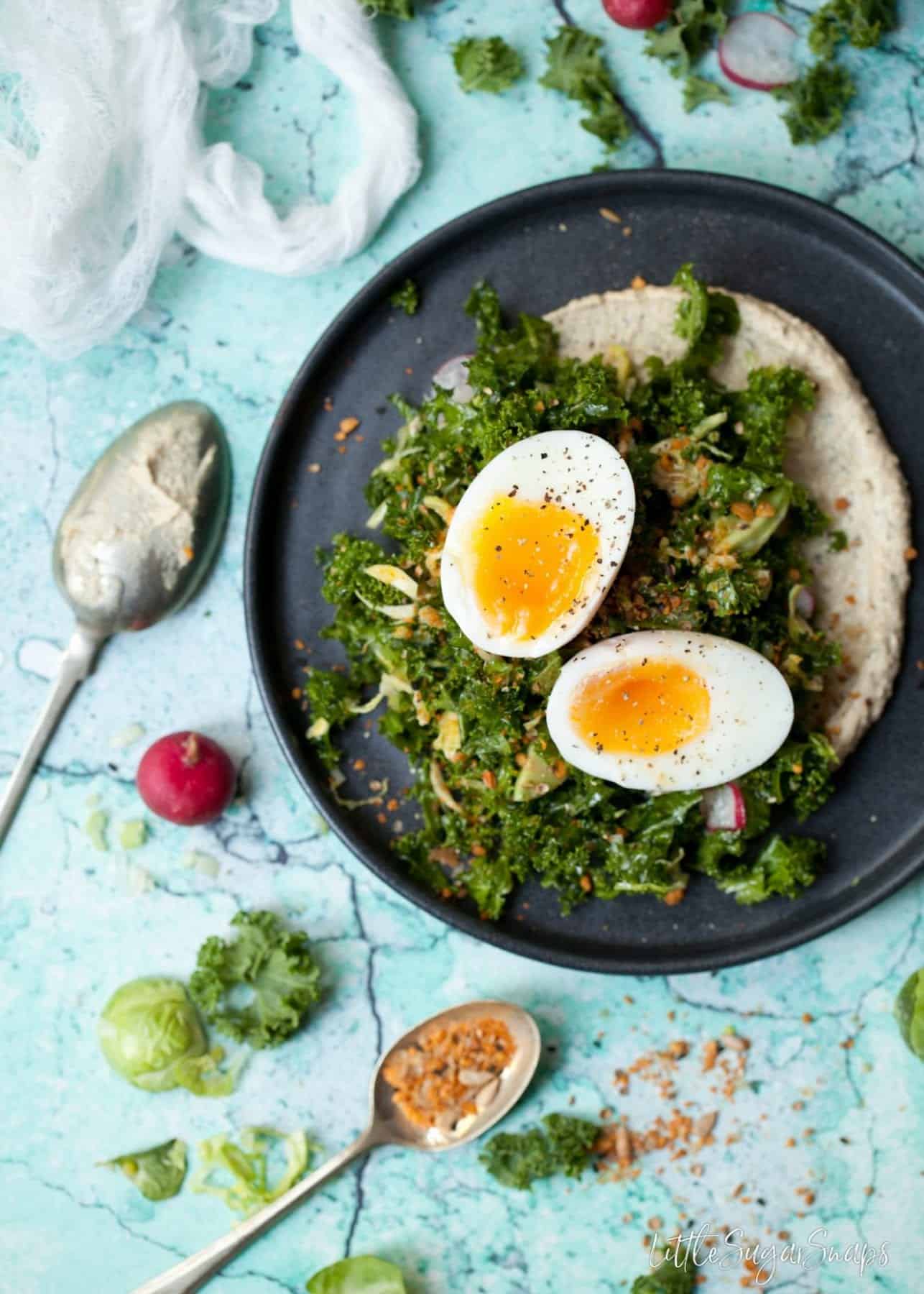 Kale and Sprout Salad with hummus and egg.