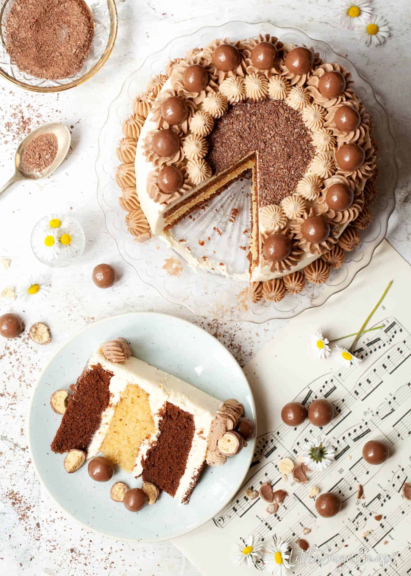 Chocolate and vanilla Malted Milkshake Cake decorated with maltesers - a slice is cut out.