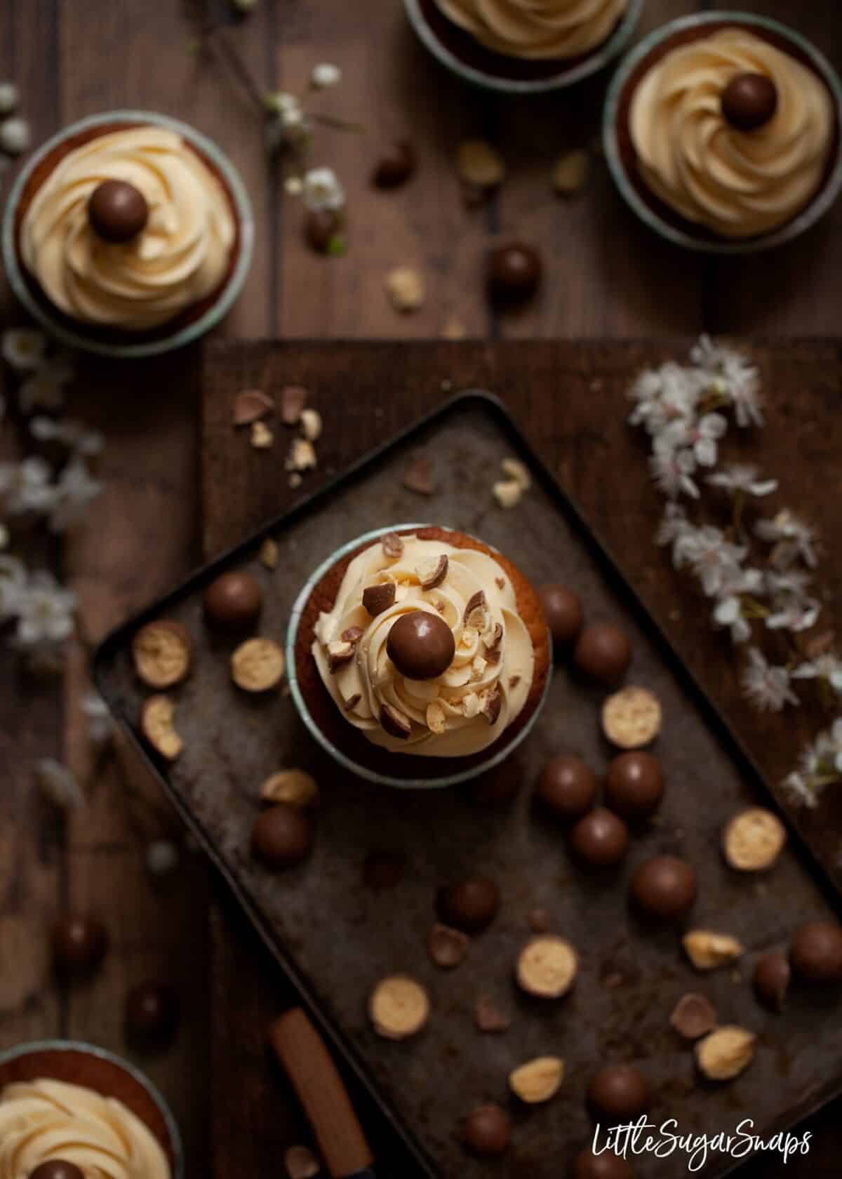 Vanilla Malt Cupcakes surrounded by malteser chocolates