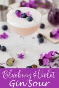 Labelled blueberry violet liqueur cocktail with egg white foam and berry & flower garnish.