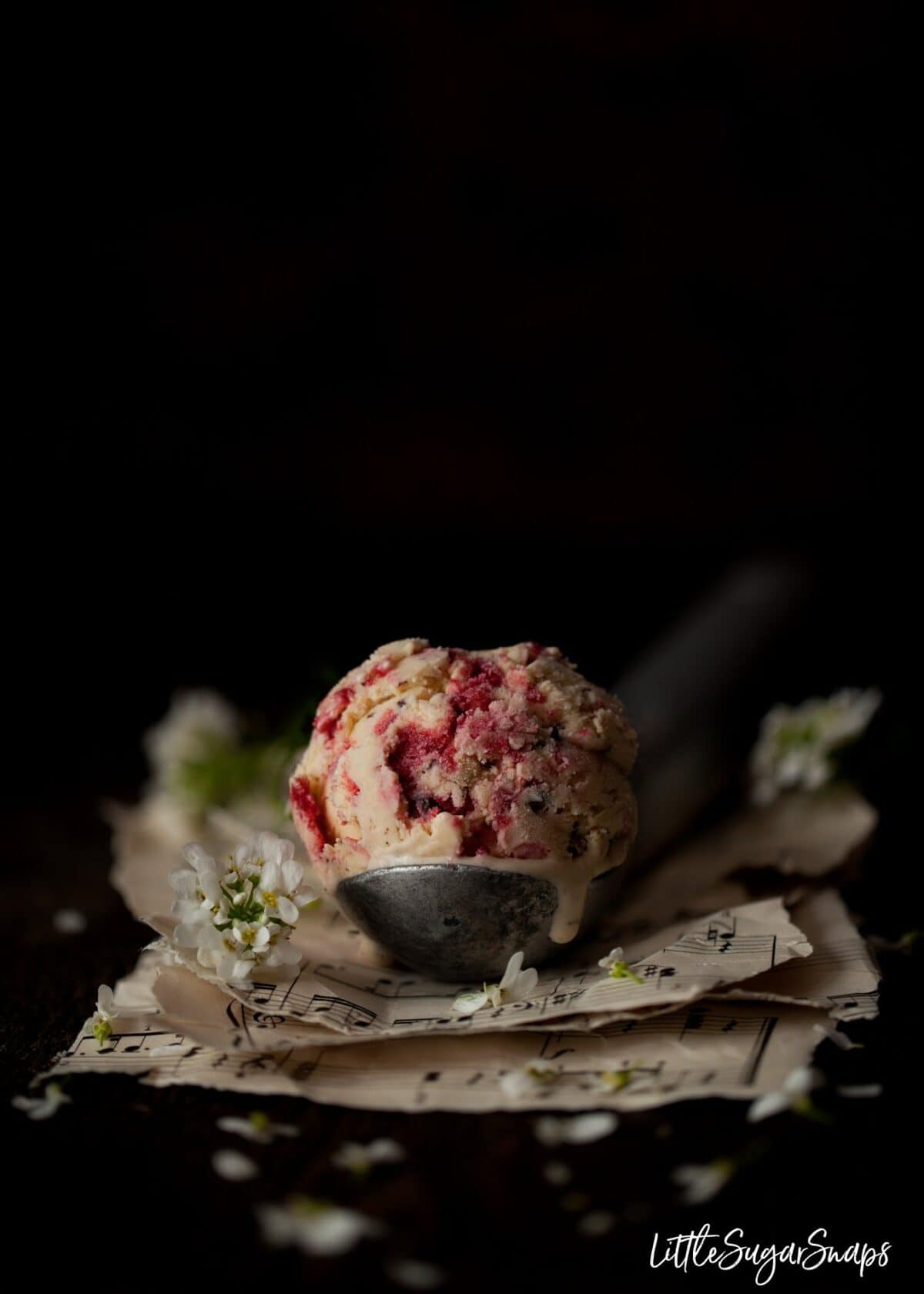A scoop of vanilla, chocolate and raspberry ripple ice cream on a vintage ice cream baller.