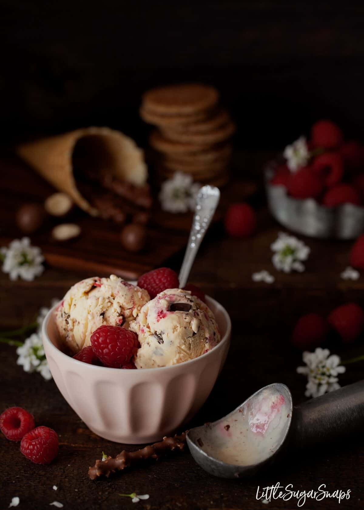 Malted Milk Ice Cream in a bowl with fresh raspberries