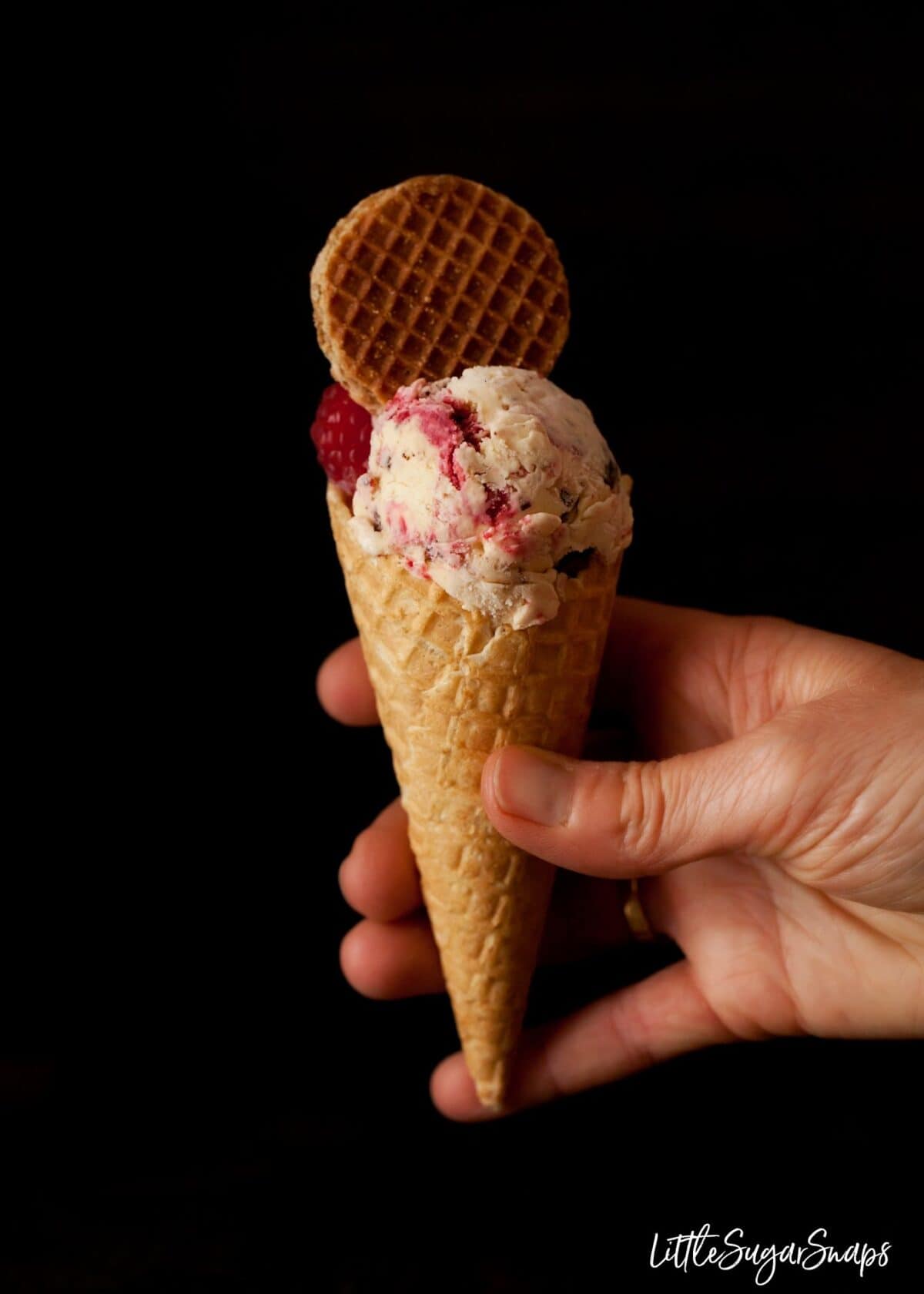 Hand holding a Malted Milk Ice Cream in a waffle cone