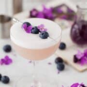 Violet Blueberry Gin Sour garnisged with blueberries and flowers