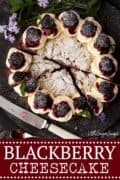 BLACKBERRY CHEESECAKE - image for pinterest use