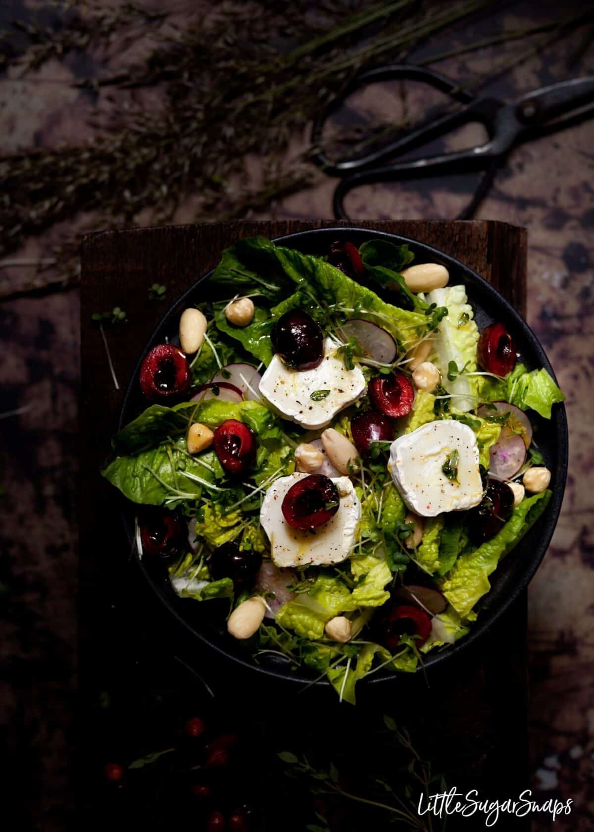 Overhead view of a plate of goats cheese, cherry and thyme salad.