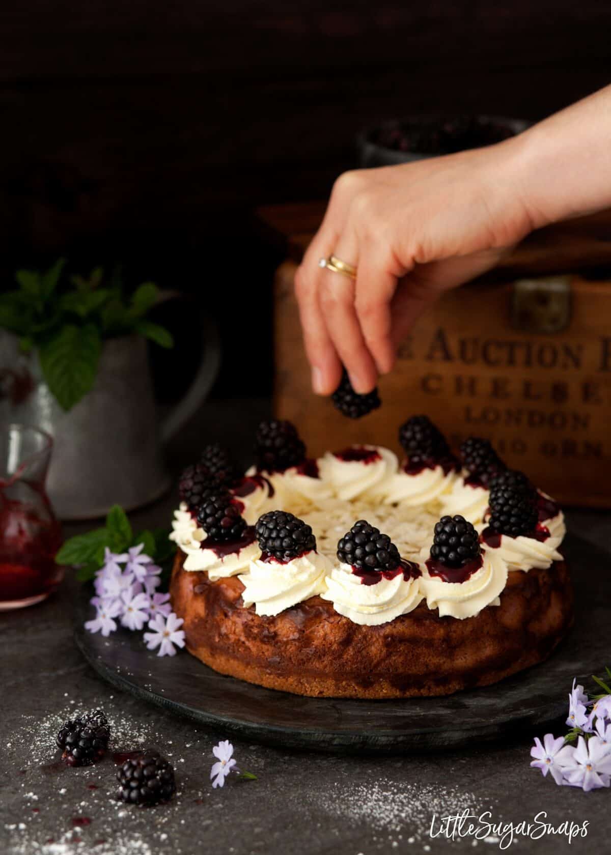 Person adding blackberries to the top of a baked cheesecake