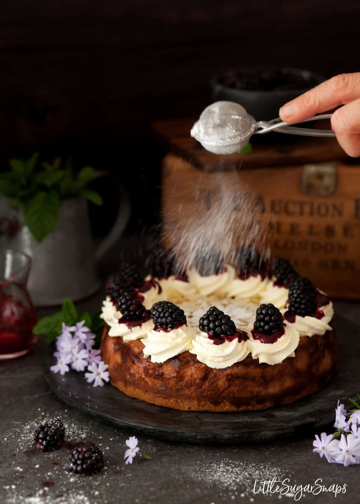 Dusting a baked blackberry cheesecake with icing sugar