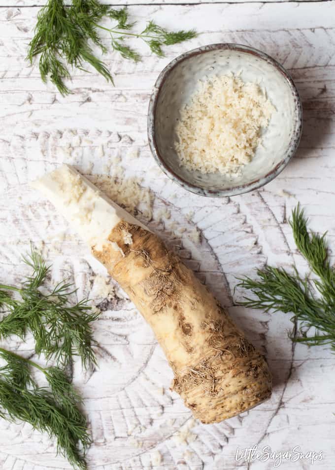 Horseradish root with grated horseradish in a bowl and fresh dill alongside.
