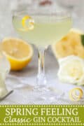 SPRING FEELING COCKTAIL Pinterest image