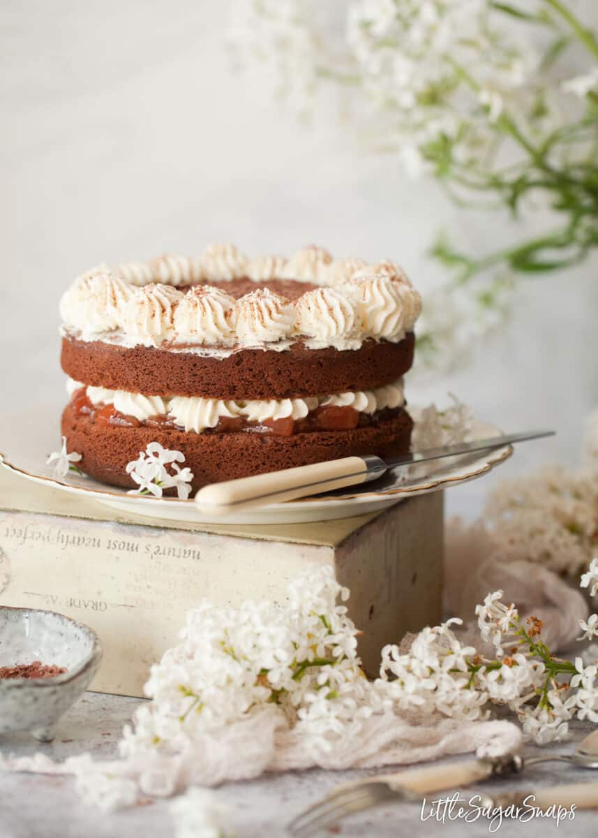 Chocolate cream cake with jam and whipped cream