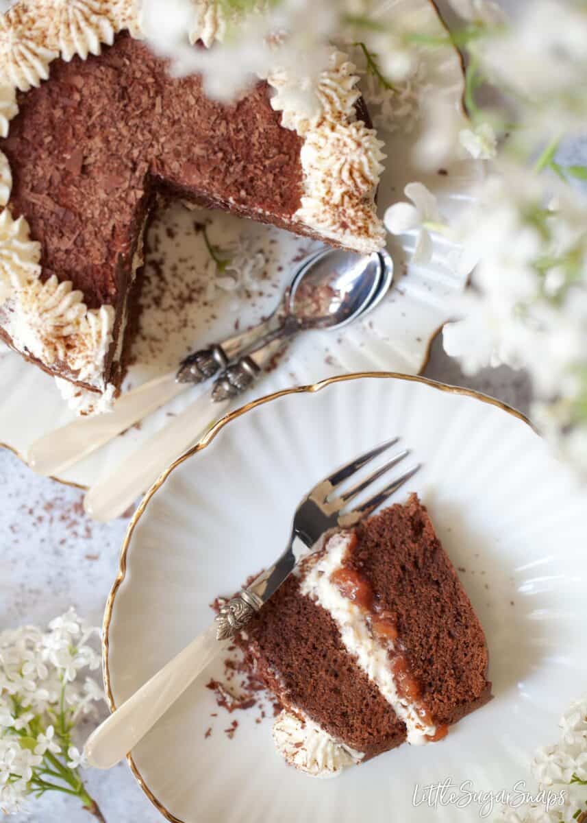 A piece of chocolate sponge cake cut from a bigger cake (also in shot).