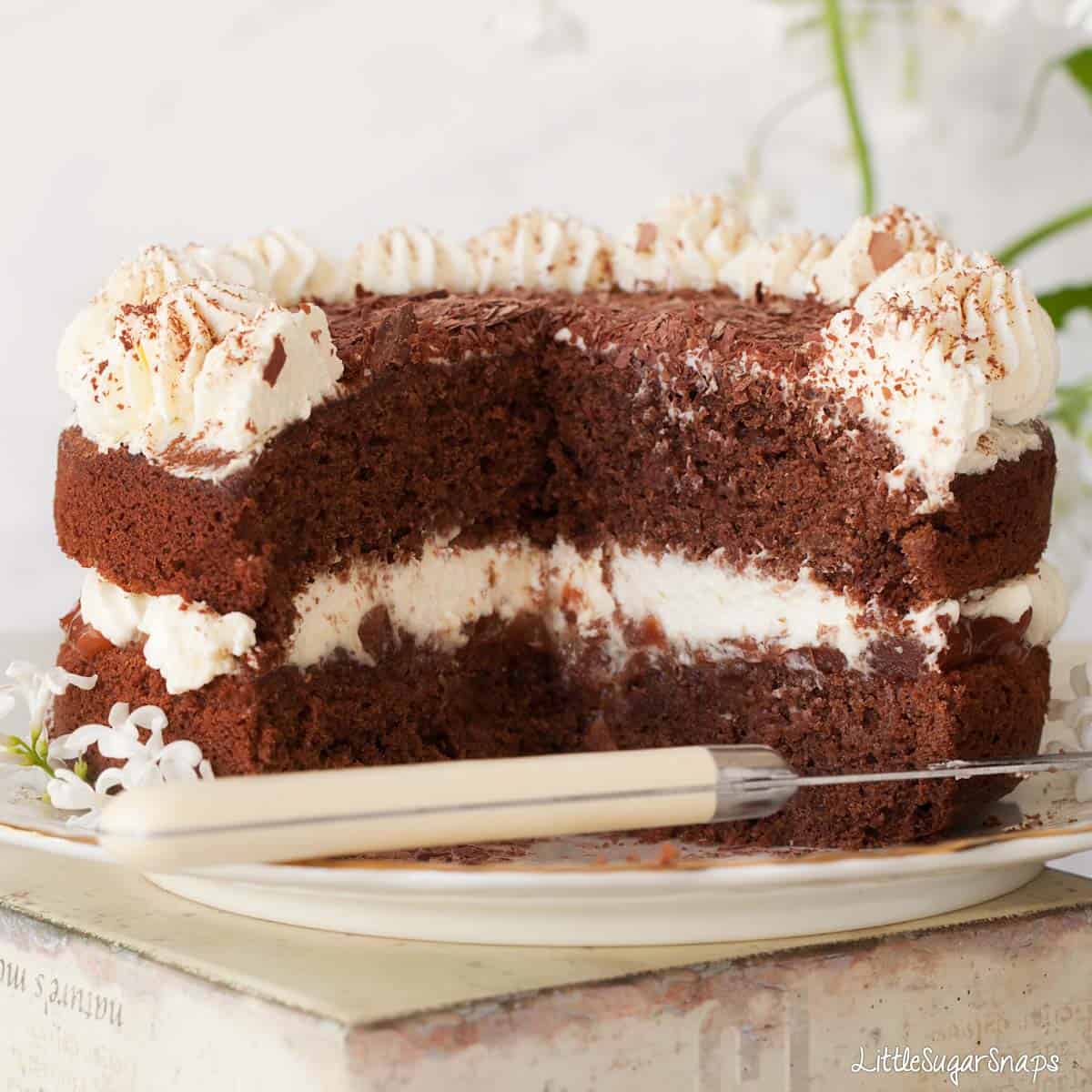 chocolate whipped cream cake