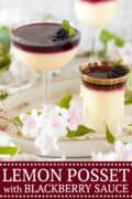 Lemon Posset with Blackberry Sauce