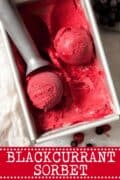 BLACKCURRANT SORBET - pinterest image2