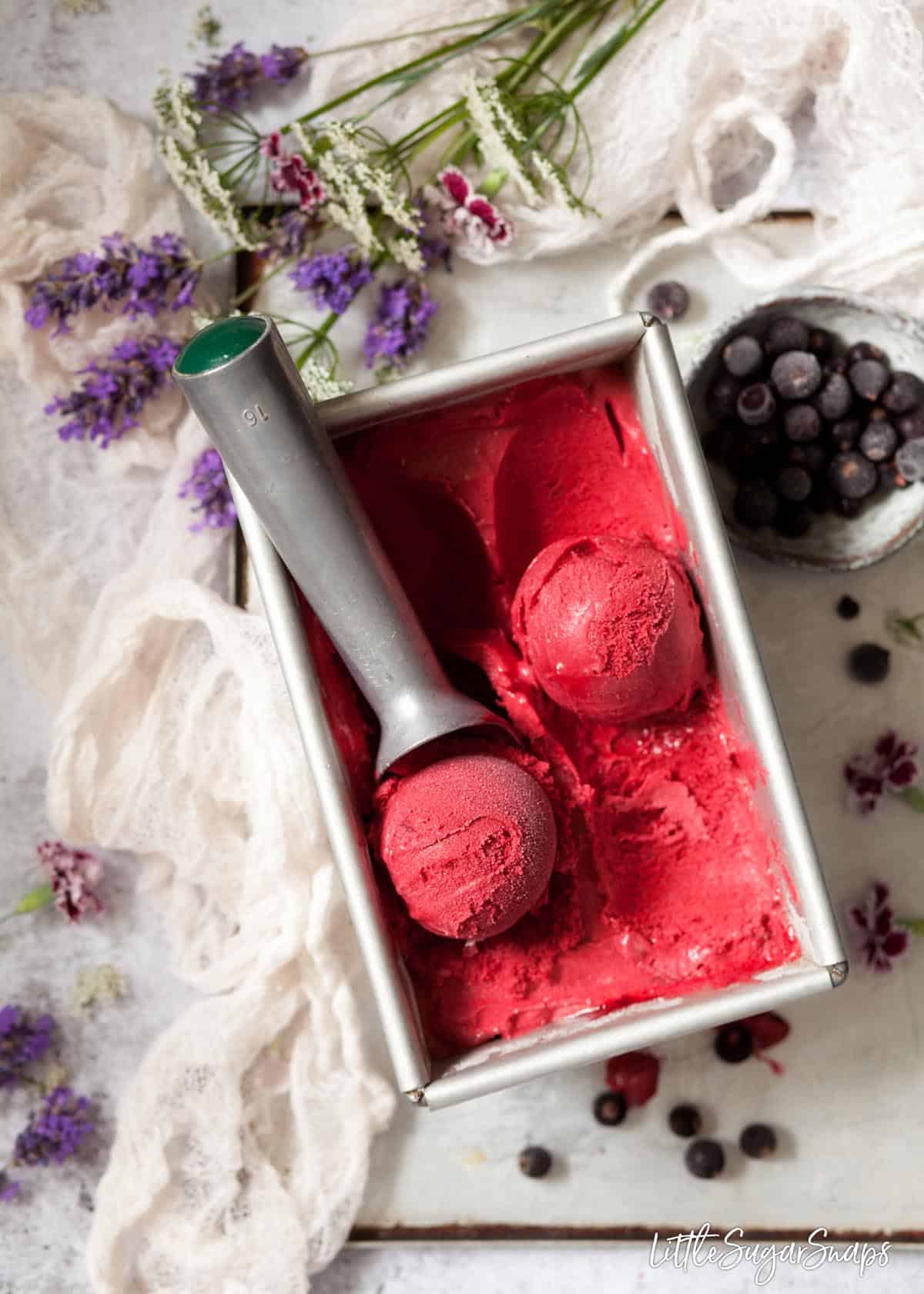 Blackcurrant sorbet in a metal tin. Two scooped balls rest on top.