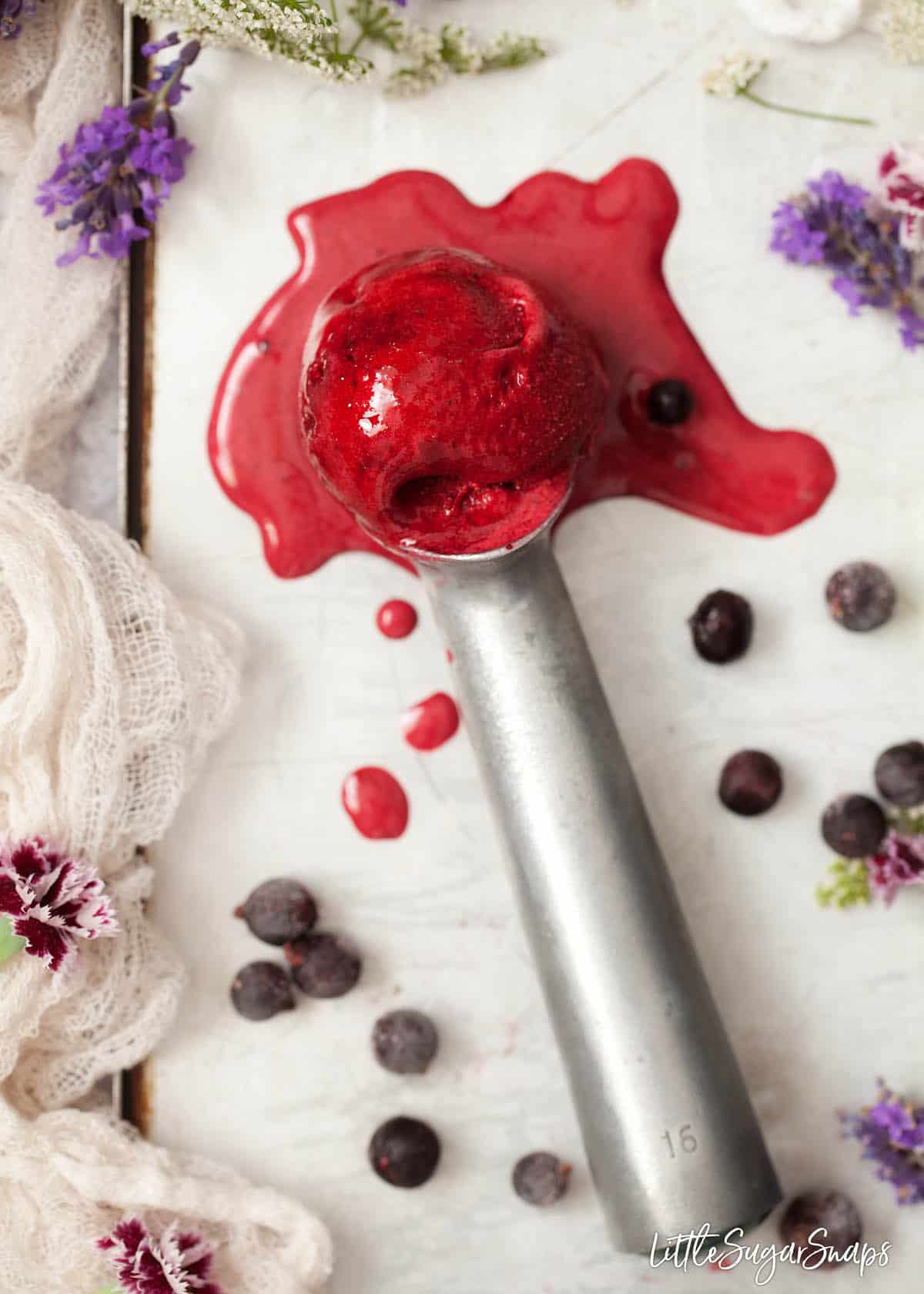 Blackcurrant sorbet melting on an old fashioned ice cream baller