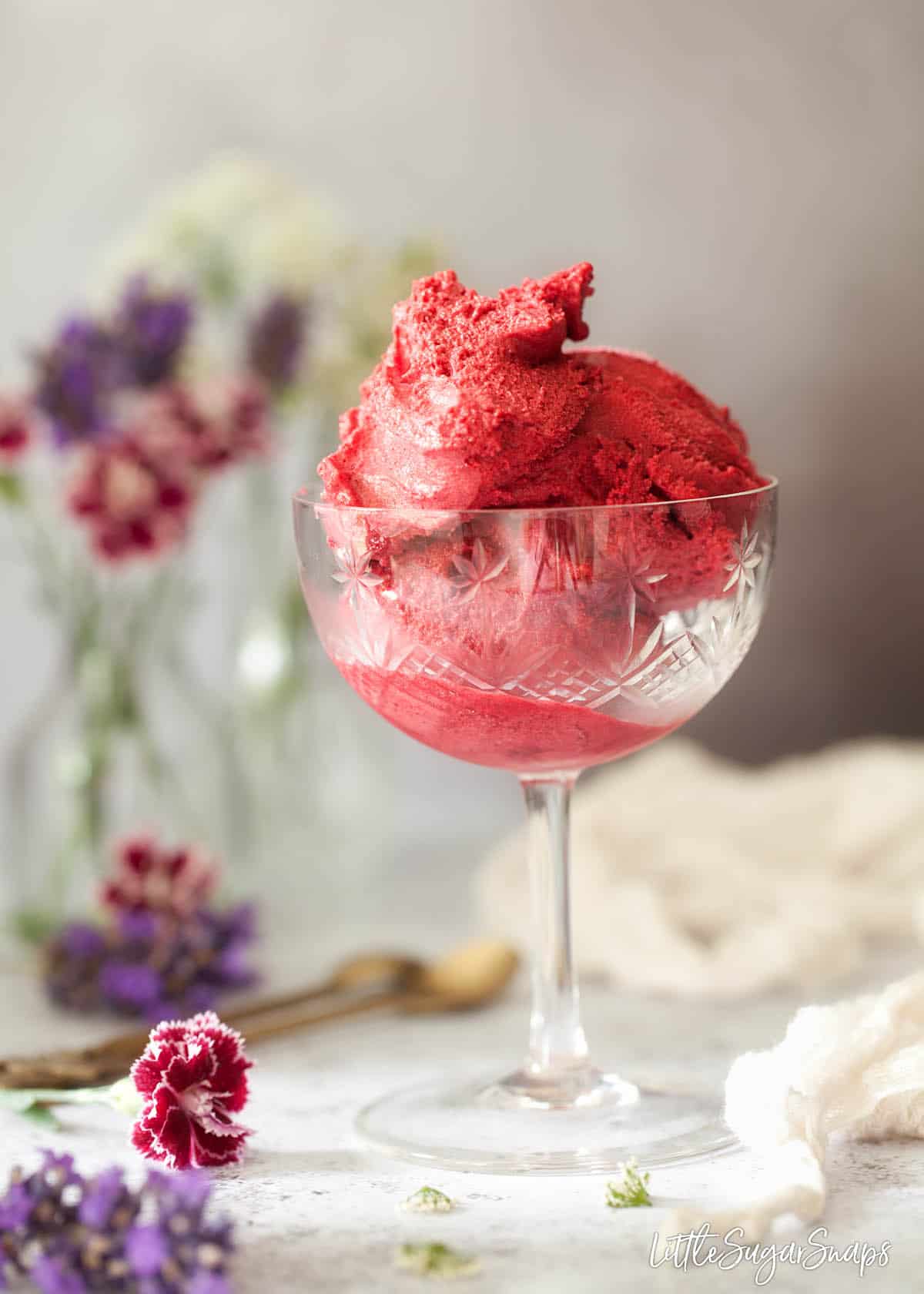 A vintage glass filled with blackcurrant sorbet. 