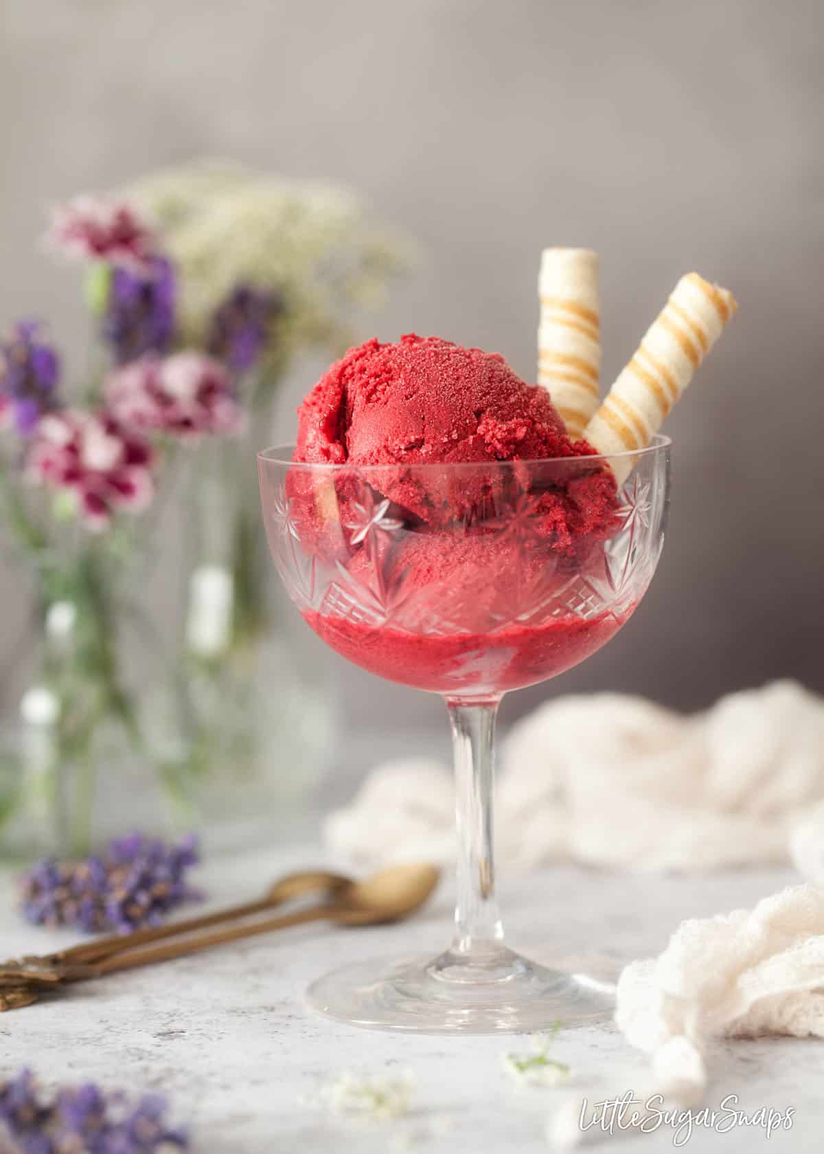 Blackcurrant sorbet in a vintage glass with 2 wafer curls