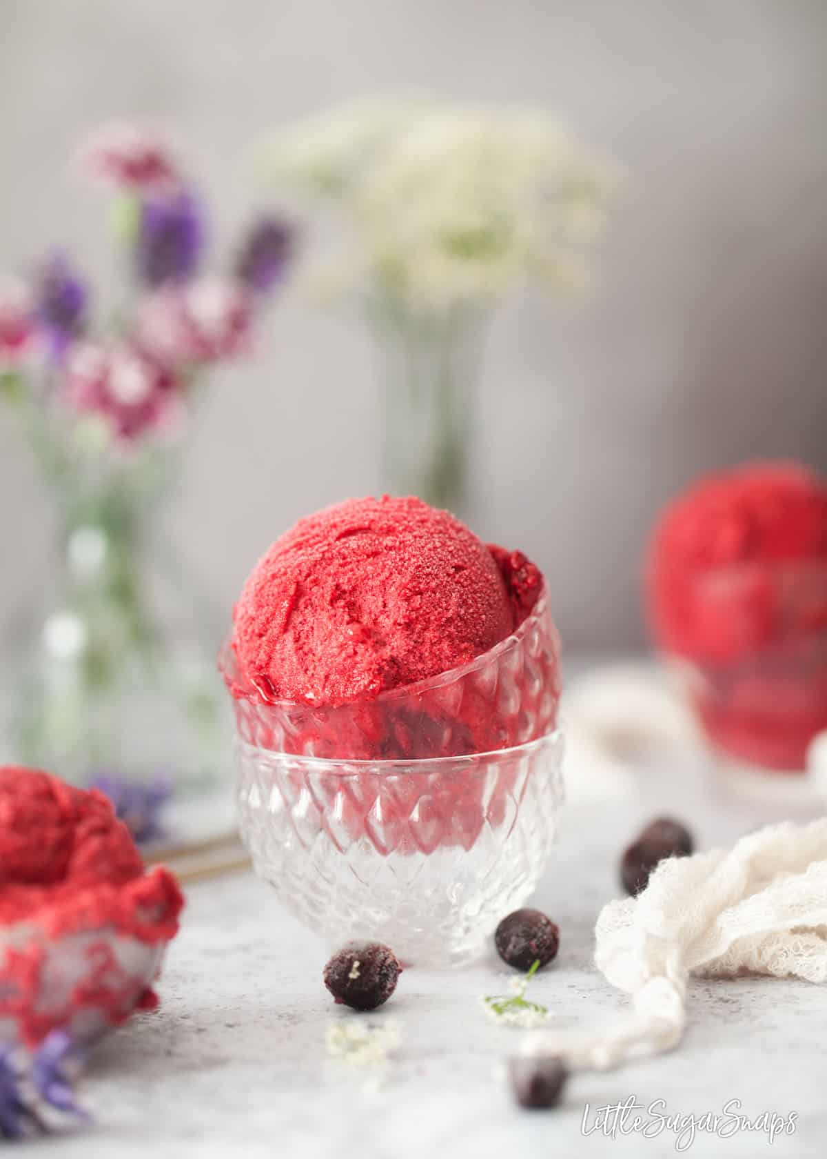 A scoop of blackcurrant sorbet in a small glass