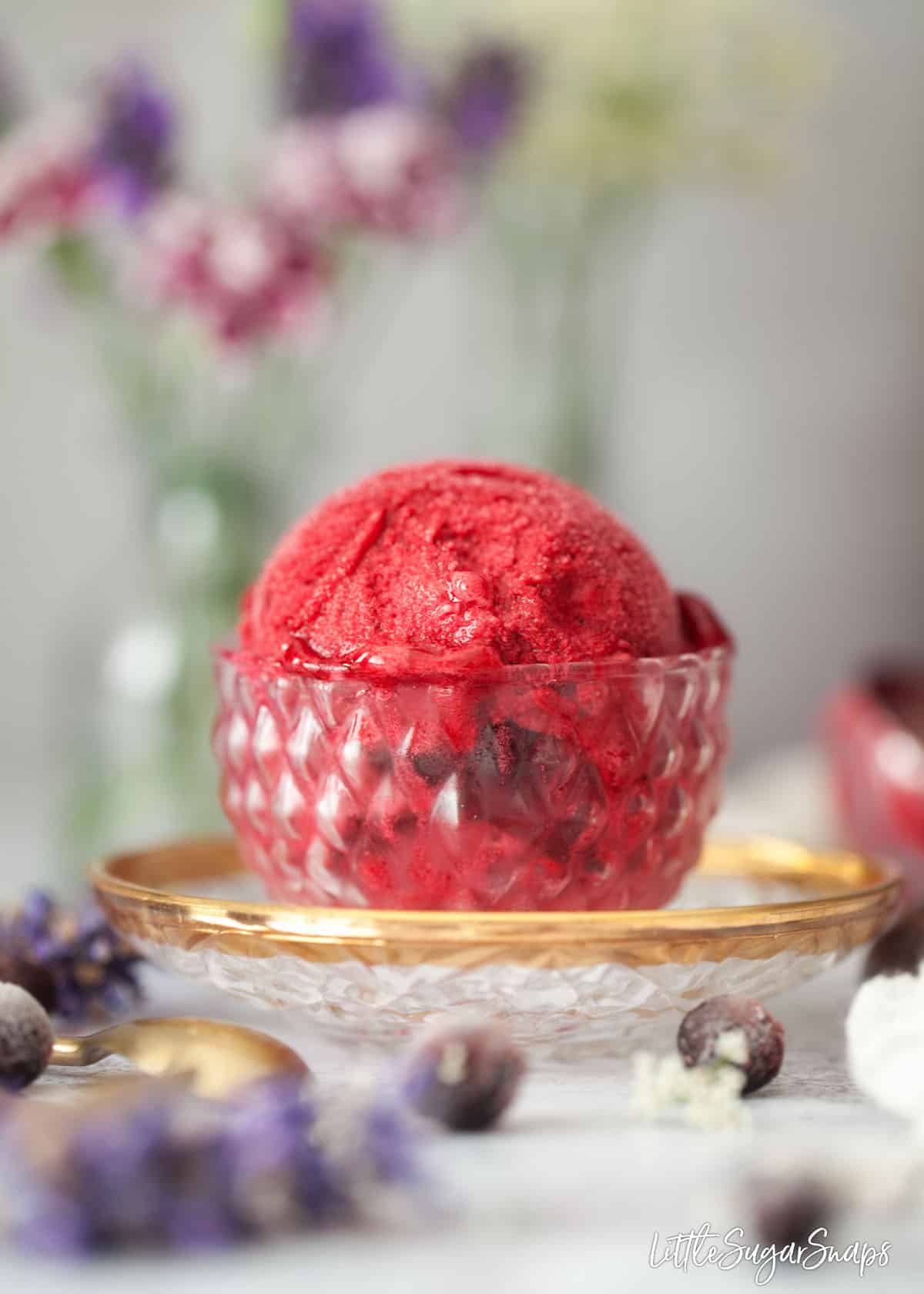 A scoop of blackcurrant sorbet in a small glass