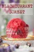 BLACKCURRANT SORBET - pinterest image2