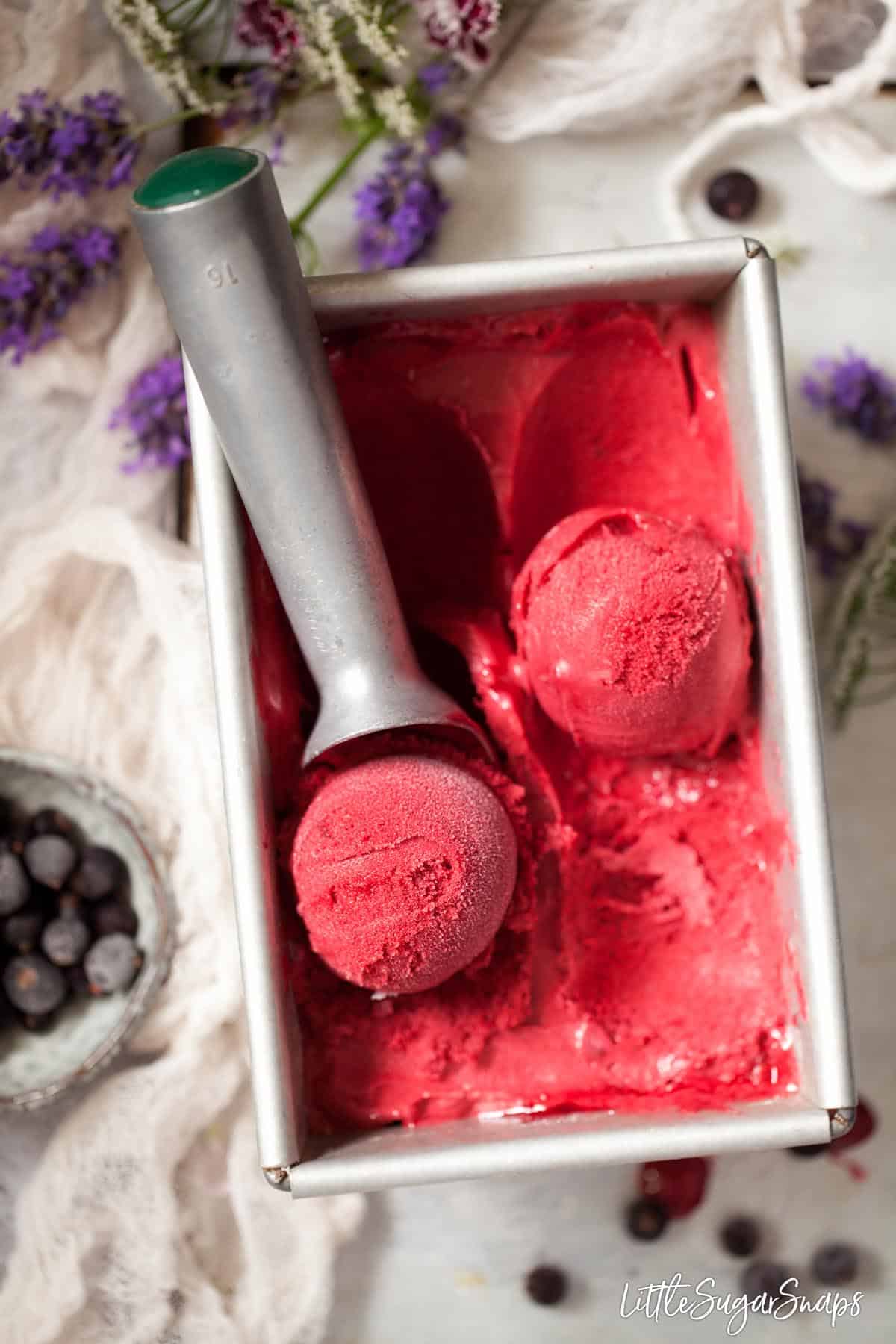 A tin of blackcurrant sorbet with two scoop resting on the top