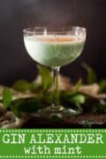 Mint Gin Alexander Cocktail - image for pinterest