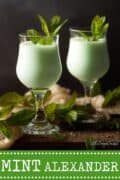 Mint Gin Alexander Cocktail - pinterest image