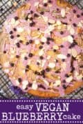 Vegan Blueberry Cake - image for pinterest