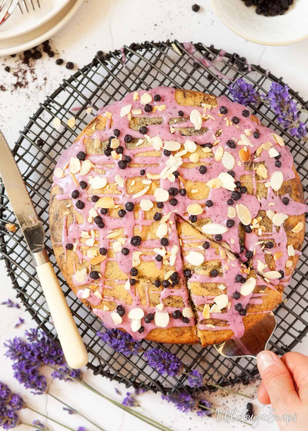 A vegan Blueberry cake being cut into slices 